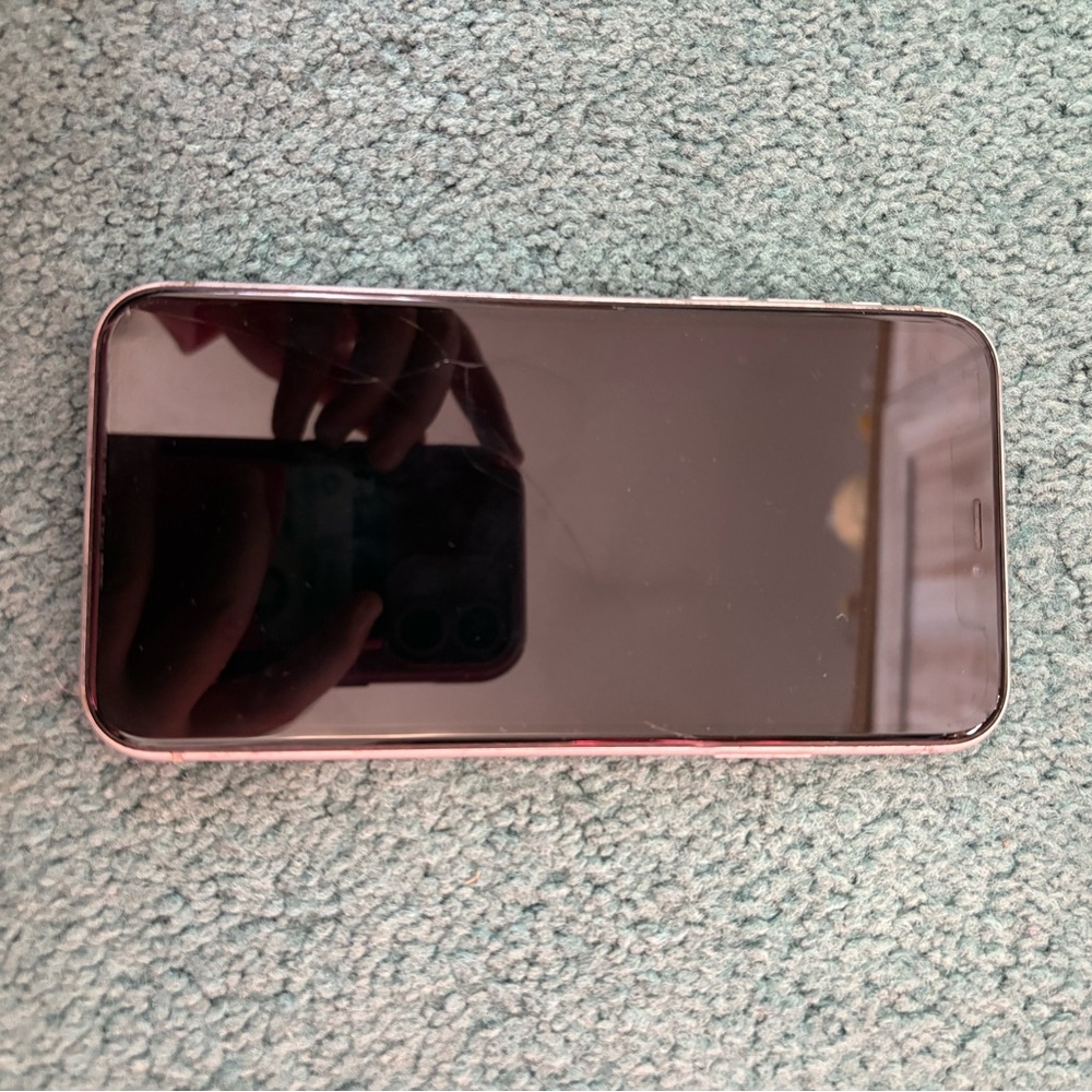 iPhone XR and many cases